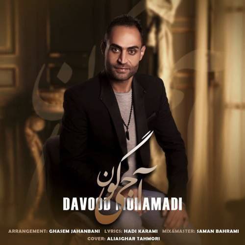 داود محمدی آجی گون